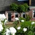 Boerderij pabema zomer