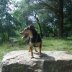 Boris3