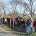Nieuws-2012-boomplantdag1