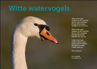 Witte watervogels - foto gedicht