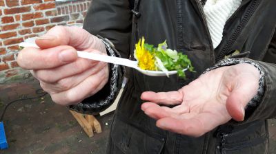 eten uit  de natuur bloemen