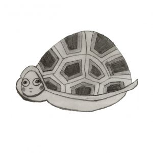 Schildpad-wit
