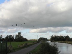 Pa240042 lettelberterdiep
