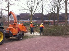 Snoeien sporthal joh smitpark zuidhorn (7)