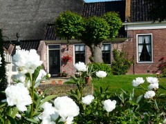 Boerderij pabema  zomer