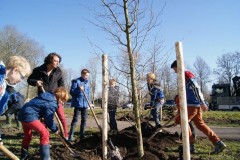 Boomplantdag grijpskerk  (4)