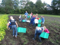 Aardappels rooien school kornhorn 003 (2)