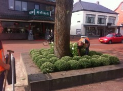 Stads groen zuidhorn