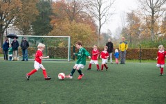 Voetbal pupillen toernooi Archief