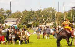 Slagbijnoordhorntk (7)