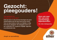 Pleegouders