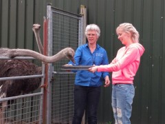 Ols bij struisvogelboerderij (3)