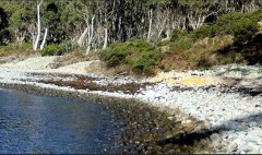 Abel-tasman-landingsplek