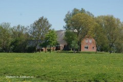 Den ham-boerderij