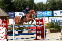 Paard ruiter klompmakerhester-