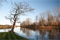 Leeksterhoofddiep ton ijpenberg