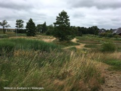 Waterpark-paden-zomer (1)