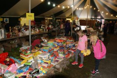 Rommelmarkt noordhorn (14)