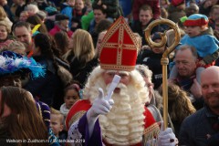 Sint-2019 (1)