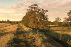 Lettelberterpetten