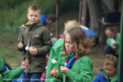 Scouting-marshmellows (11)