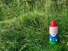 Kabouter oostwold
