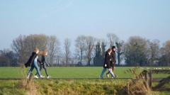 Kerk den ham wandelen t meestringa