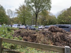 Bladafval in sportpark (7)