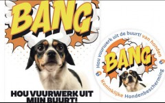 Bang hond