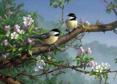 Diamond-painting-birds