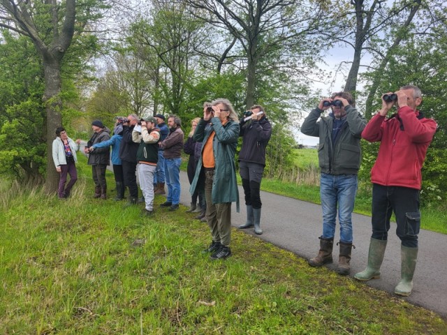 Den Horners vroeg uit de veren voor weidevogels