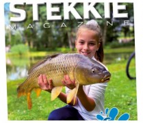 Stekkie