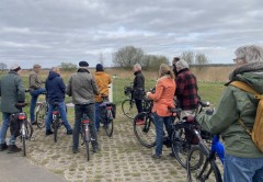 Onlanden werkbezoek fietsen
