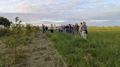 Agro niehove voederhaag