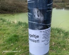 Lantaarnpaal-poster (1)