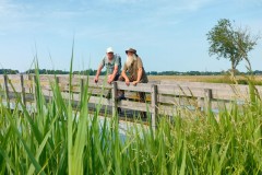 De verbiending zomer