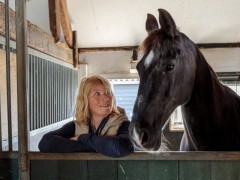 Ostara paardencoaching