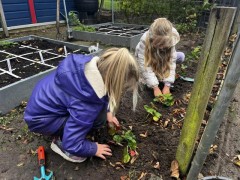 Schoolmoestuin basisschool de vlieger (1)