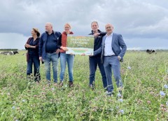 Kruidenrijk grasland steenbergen