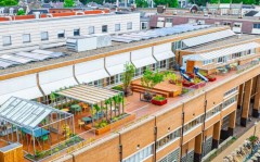Groen dak appartement