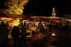 Nieuws-2011-winterfair2011