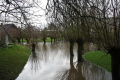 Fotonieuws-2012-hoogwater-loer-1