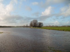 Tolberter-petten-polder-2-jan-2012-42