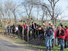 Nieuws-2012-boomplantdag1