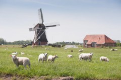 130617 fietsend naar groningen-12