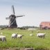 130617 fietsend naar groningen-12