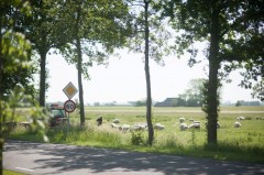 130617 fietsend naar groningen