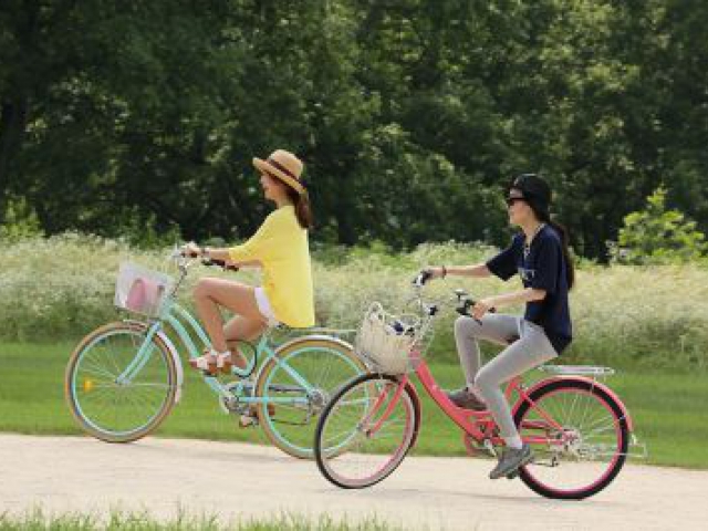 Wereld Fietsdag