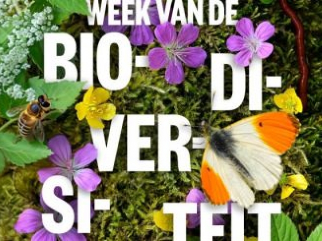 Dag van de Biodiversiteit