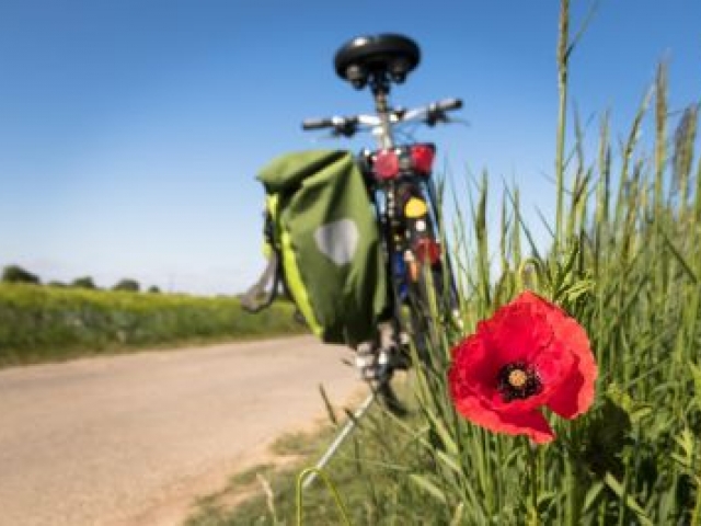 24e 4 Windstrekentoertocht